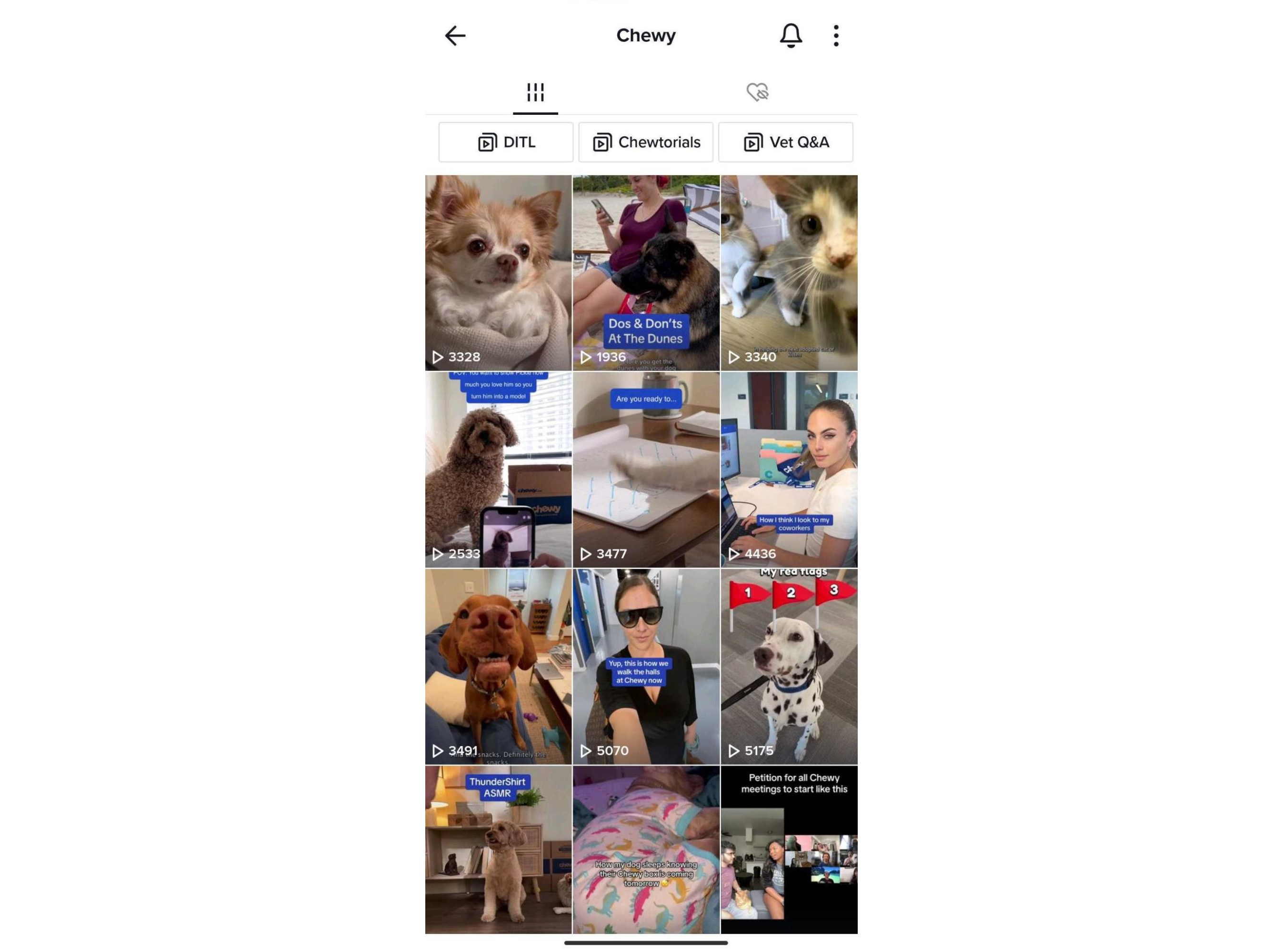 Chewy's TikTok page